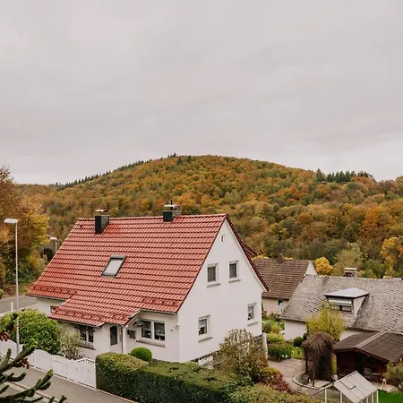 Waldblick Herborn *